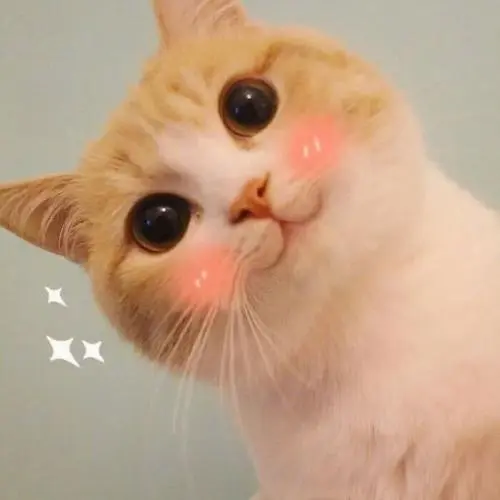 HTML总复习
