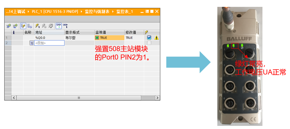 image-20241226131256000